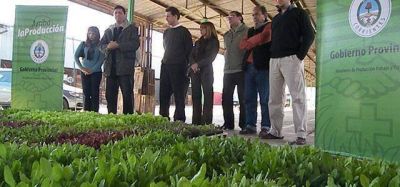 M�s de 60 mil plantines entreg� el Gobierno a productores en Capital 