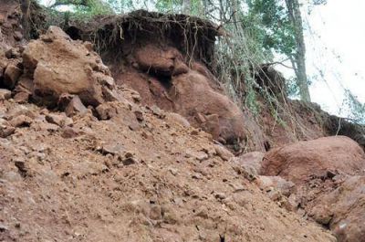 Para Ecolog�a, el hundimiento de tierra en Colonia Aurora es una mezcla de deforestaci�n y exceso de agua