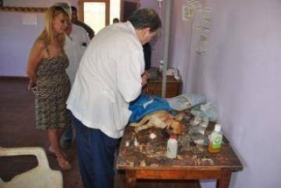 EN EL CCM DE VILLA LUISA CONTINUARA ESTE SABADO LA CAMPA�A DE VACUNACION DE MASCOTAS