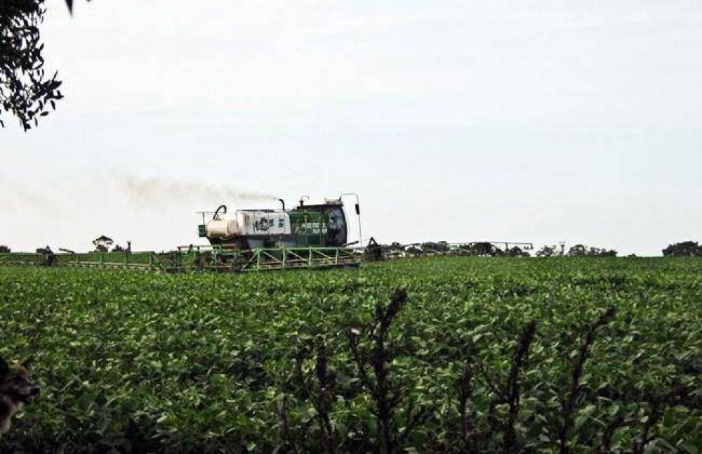 Fumigaciones: ONG ambientalista reclam� que se reglamente la ordenanza