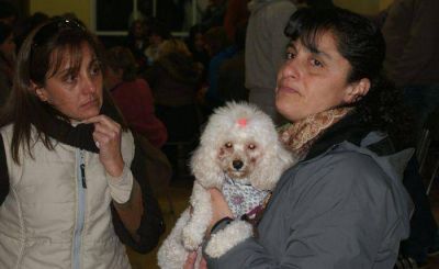 Nutrida actividad en el Partido Justicialista