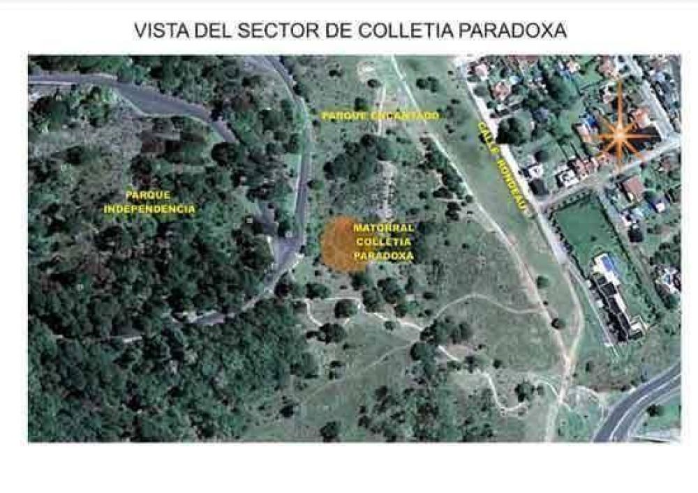 Proyecto para la Preservaci�n de Flora en las Sierras de Tandil