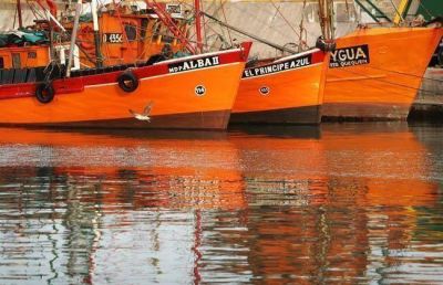 Reducen derechos de exportaci�n de productos pesqueros