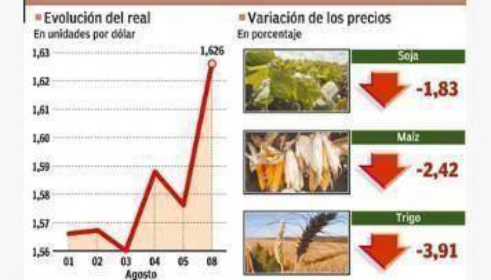Argentina en alerta: los granos se hundieron hasta 4% y se devalu� el real