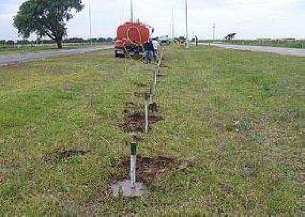 En San Luis contin�a la forestaci�n hacia el l�mite con Mendoza
