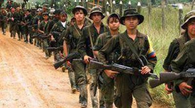 Las FARC derribaron un avi�n a escala 