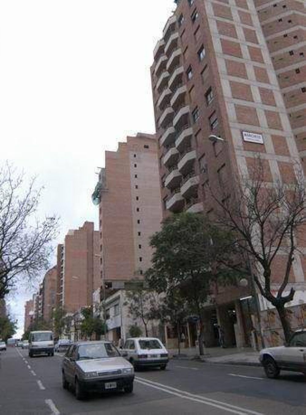 La mirada puesta en la cosecha de marzo
