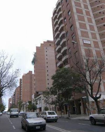 La mirada puesta en la cosecha de marzo