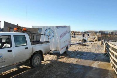 Operativo de mantenimiento de calles en sectores ubicados en la Margen Sur 