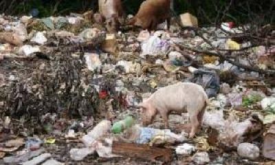El Gobierno de la provincia intensifica su lucha contra la Triquinosis