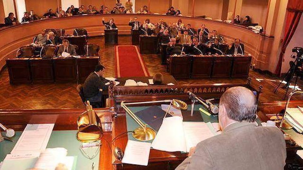 Diputados termin� de reglamentar la Constituci�n 2008