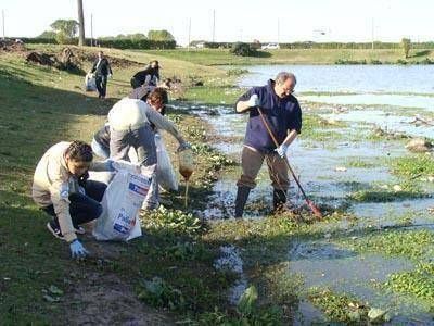 El regreso de los cisnes y limpieza en Parque Camet