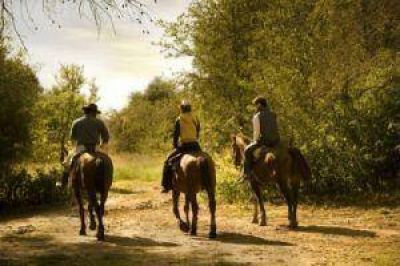 Turismo seleccion� a emprendedores de Resistencia y del interior para la preincubaci�n de proyectos