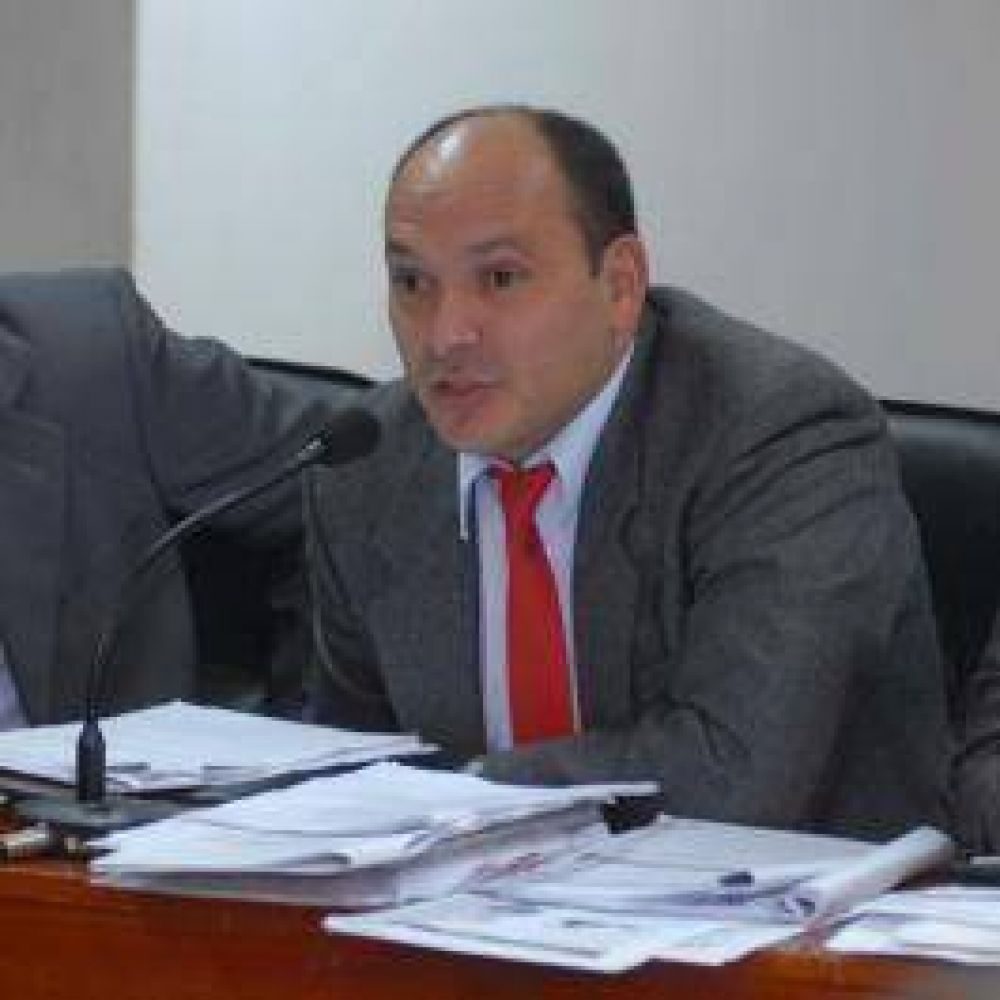 Afirman que el proyecto aprobado en el Senado es anticonstitucional y que deber�a volver a Diputados 