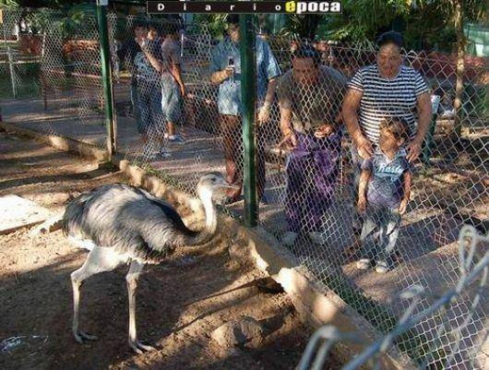 Trasladar�n el zool�gico y en su lugar se construir� un acuario