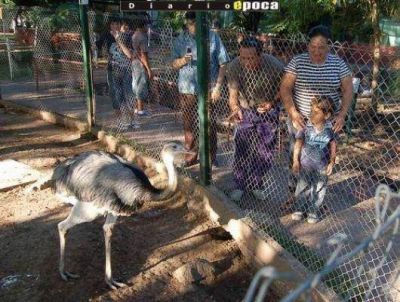 Trasladar�n el zool�gico y en su lugar se construir� un acuario