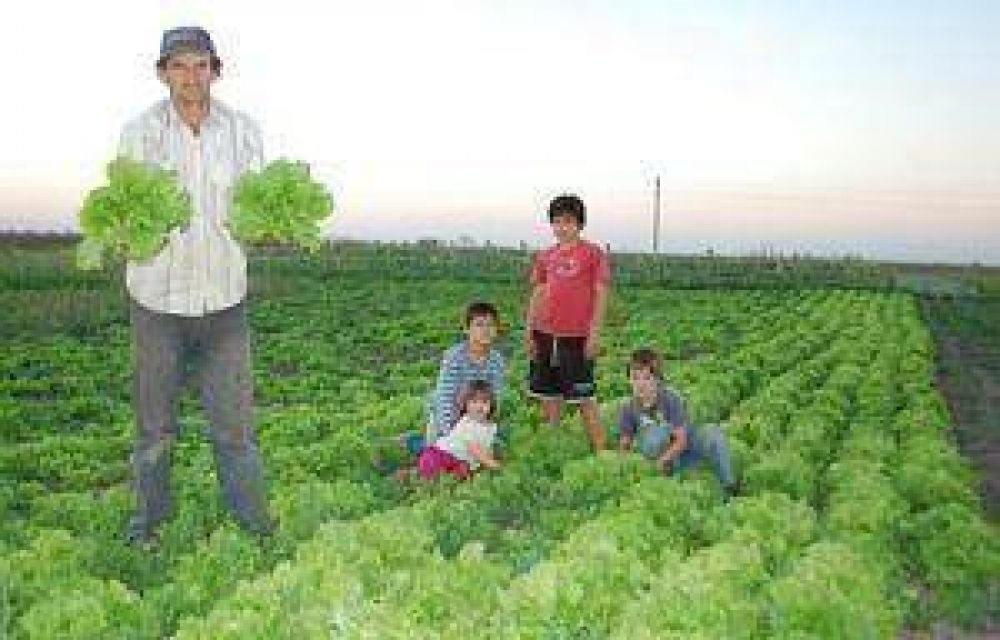 La agricultura familiar genera recursos para la subsistencia