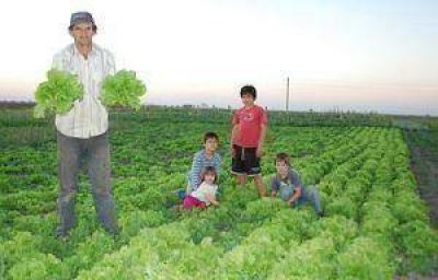 La agricultura familiar genera recursos para la subsistencia