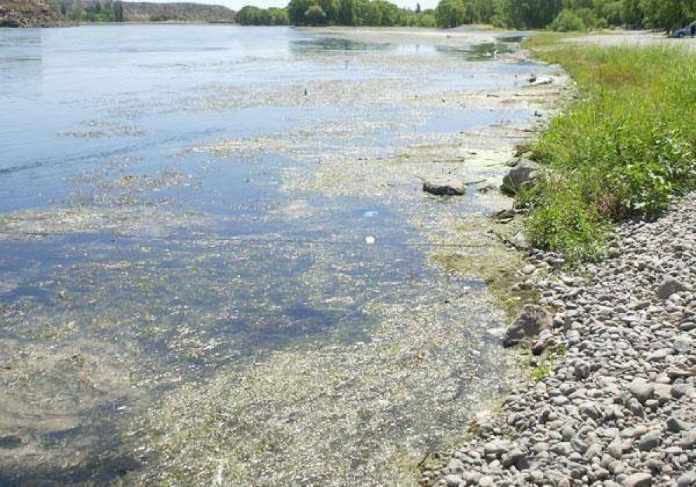 Denuncian incumplimiento en el cuidado de los r�os