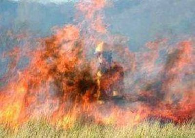 Instrumentan nuevas t�cnicas de quemas prescriptas amigables con el ambiente