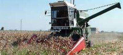 Argentina exportar� u$s 20 millones menos por sequ�a y bajos precios