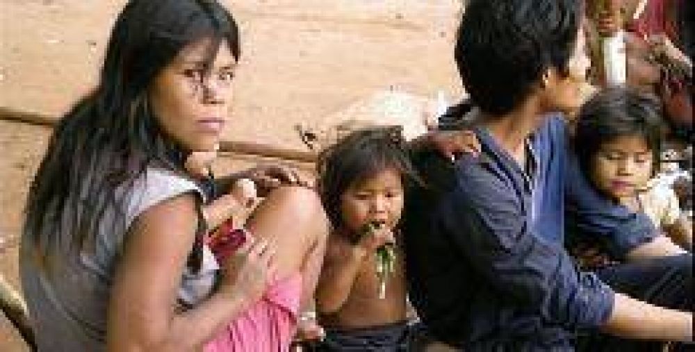 Iguaz�: por falta de documentos, el 97% de la poblaci�n Mbya Guaran� est� desocupada