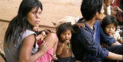 Iguaz�: por falta de documentos, el 97% de la poblaci�n Mbya Guaran� est� desocupada