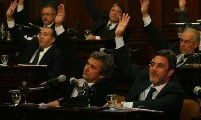 La Legislatura rechaz� por unanimidad el proyecto minero San Jorge