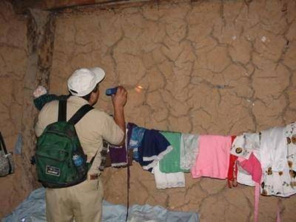 Mal de Chagas: en Formosa hay 18.000 viviendas en riesgo