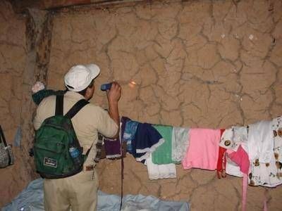 Mal de Chagas: en Formosa hay 18.000 viviendas en riesgo