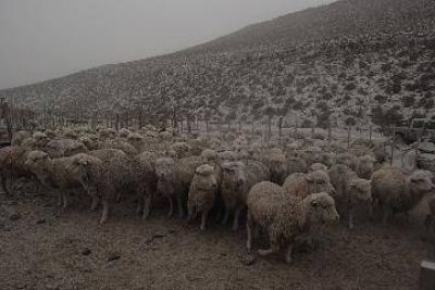 Informe de la ONU confirma m�s perjuicio en La Angostura