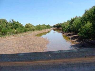 Corte del Atuel: comparar�n la calidad productiva de las tierras