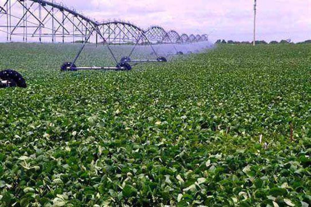 Fuerte repunte en el precio de la soja: subi� 10 d�lares