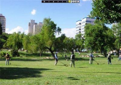 Hallan hongos venenosos en parques de Corrientes