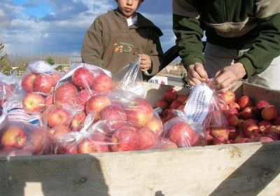 Aportan 4 millones de pesos para productores allenses