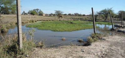 �Saqu� a mi familia porque el basural de LUSA contamin� las napas y el agua es intomable�