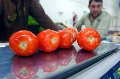 Productores de tomate pretenden que se mantenga el precio de mercado