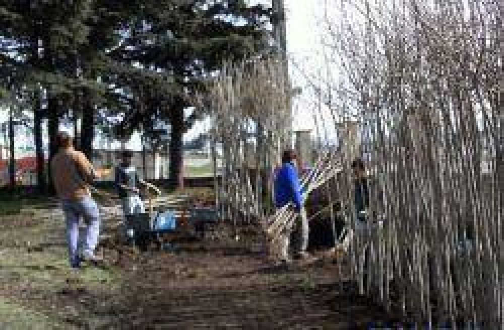 Sigue el plan de forestaci�n municipal con la plantaci�n de 800 nuevos �rboles