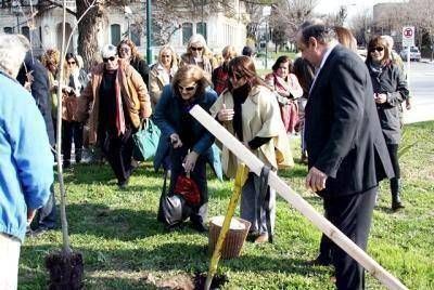PLANTARON UN ROBLE PARA HOMENAJEAR A RA�L ALFONS�N   
