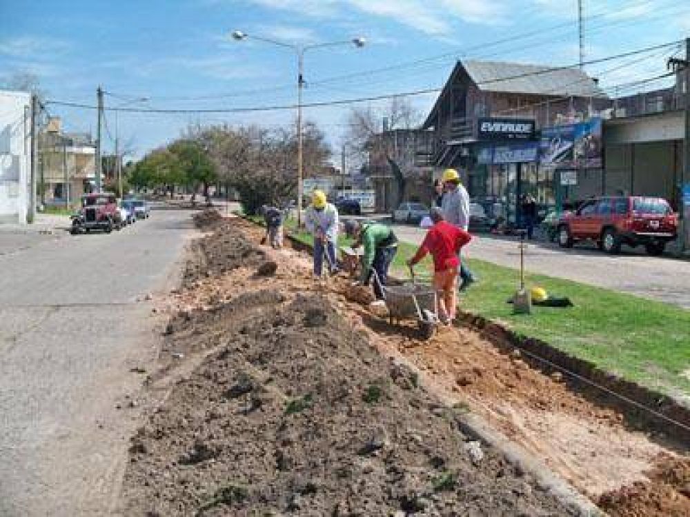 Comenzaron los trabajos de puesta en valor de la Avenida Luis N. Palma