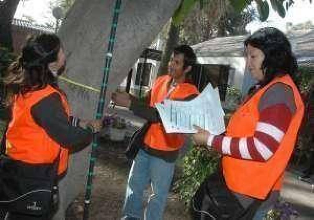 Gran San Juan: hay 11.692 �rboles muertos o enfermos