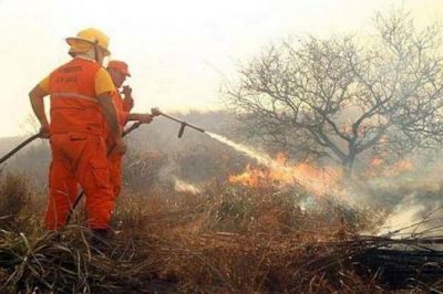 Apagaron los incendios en C�rdoba 