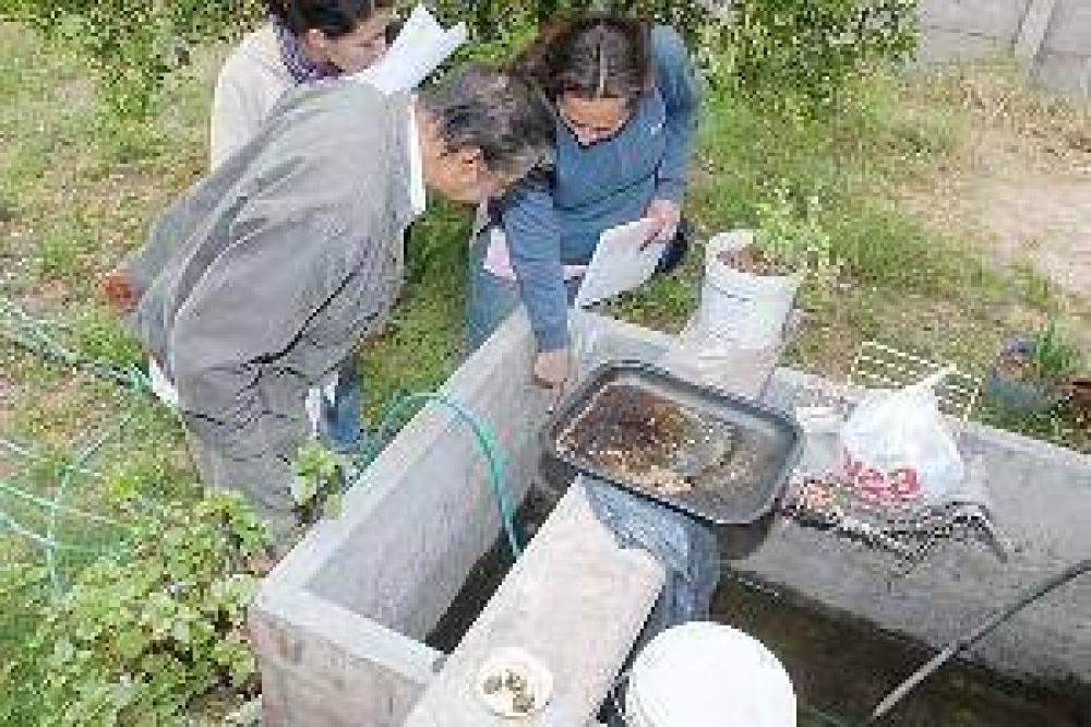 Advierten que Santiago es una de las provincias con mayor riesgo de infecci�n del dengue