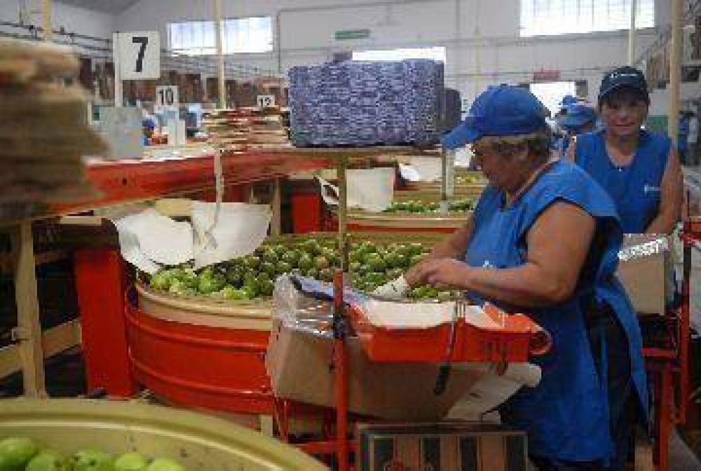 Alternativas para sortear la crisis frut�cola regional