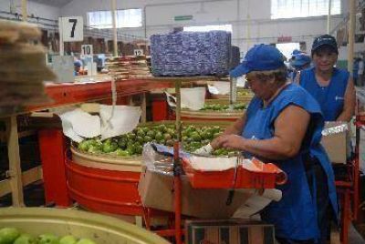 Alternativas para sortear la crisis frut�cola regional