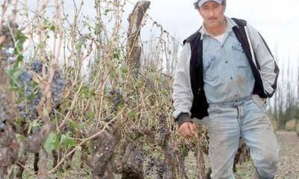 Conflicto con los puesteros por la compra de tierras en manos extranjeras