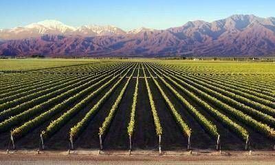 Mendoza, tierra de oportunidades