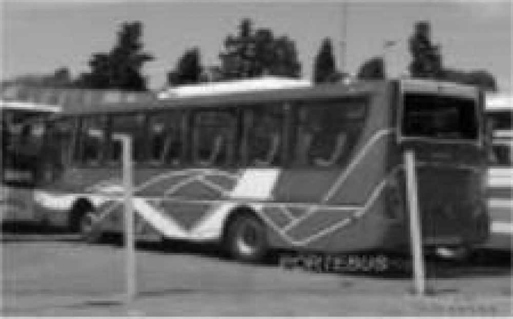 Nueva empresa de colectivos planea brindar servicio en Eldorado