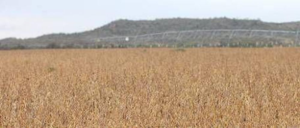 La sequ�a produce estragos en el interior, y en La Pampa ya se hacen cargo de los subsidios al agro