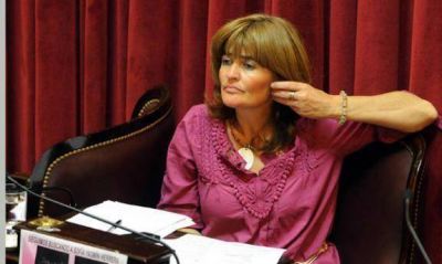 Senadora Higonet propone la penalizaci�n del robo de datos por Internet